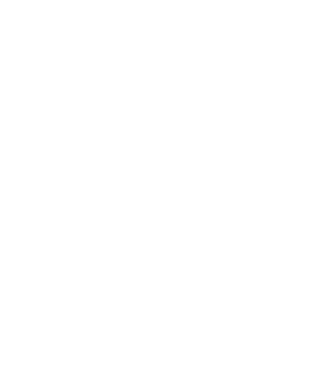 Phone Icon